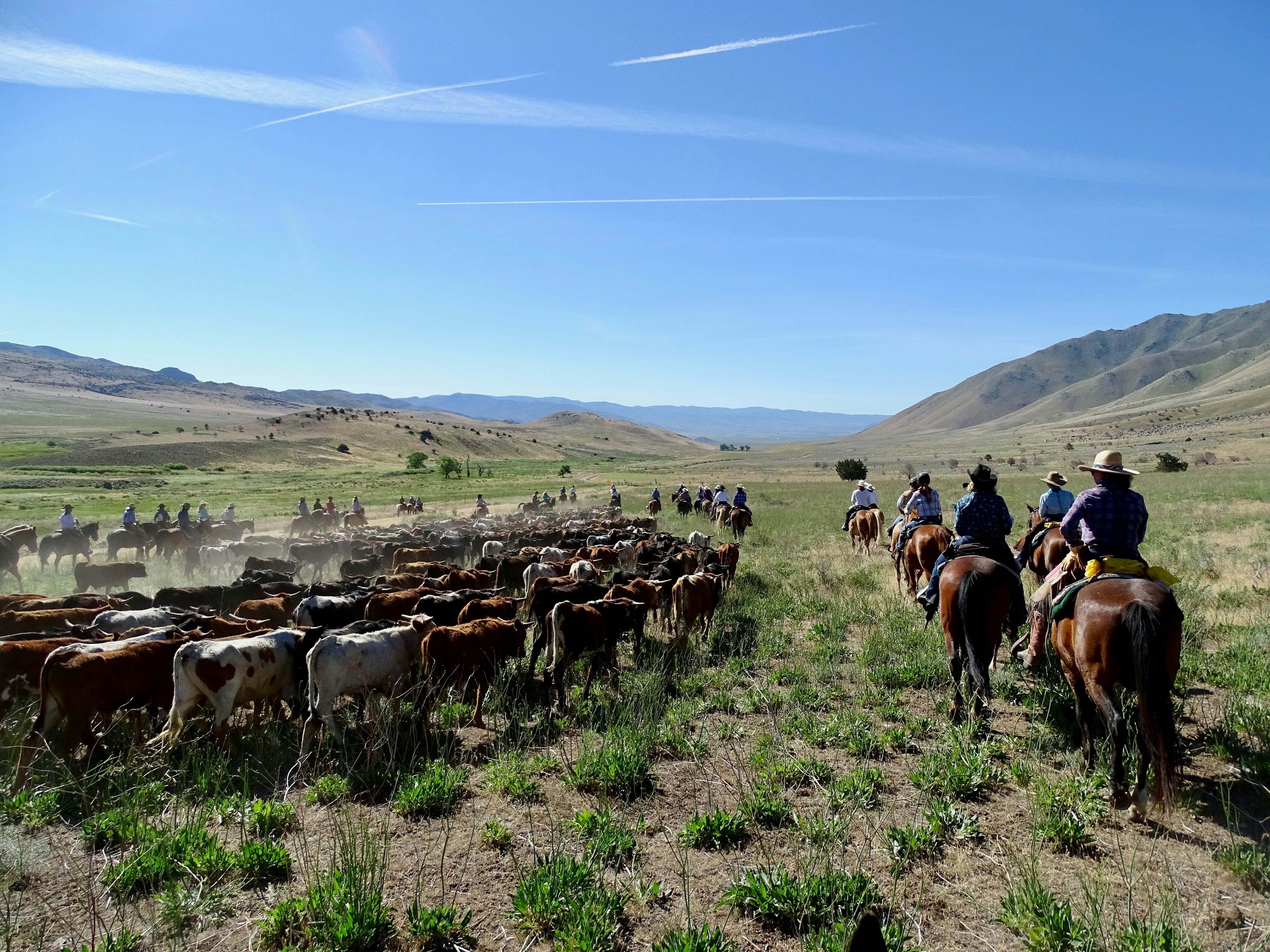 “We were going to get through this together” How I survived a five